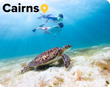 kids snorkelling in the ocean near a turtle by the Great Barrier Reef Cairns Queensland 